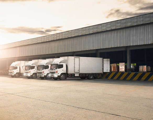 Real-time warehouse dashboard and logistics ERP implementation